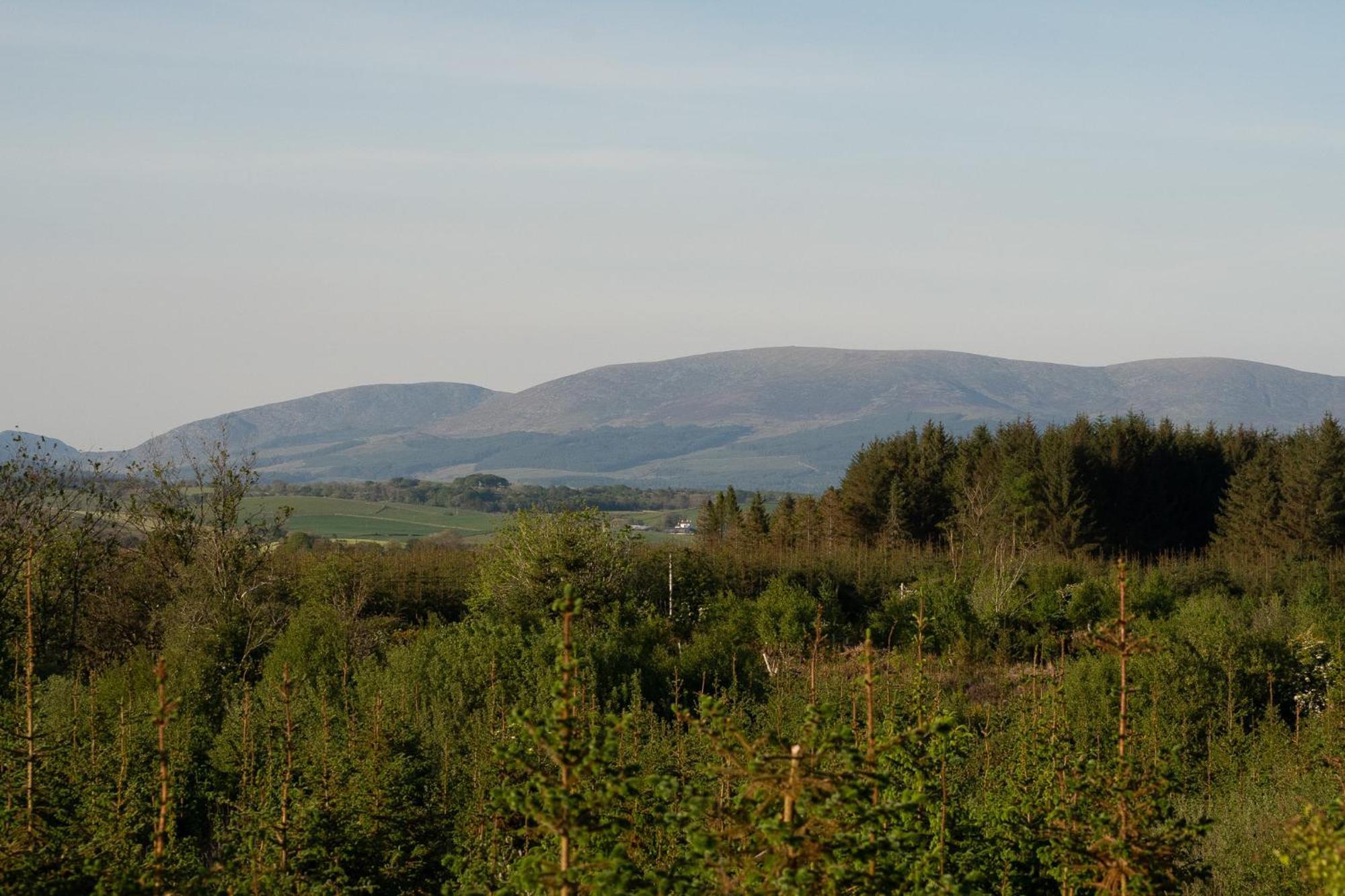 Wigtown By Wigwam Holidays 牛顿斯图尔特 客房 照片